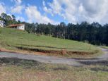 Foto do Imóvel 4